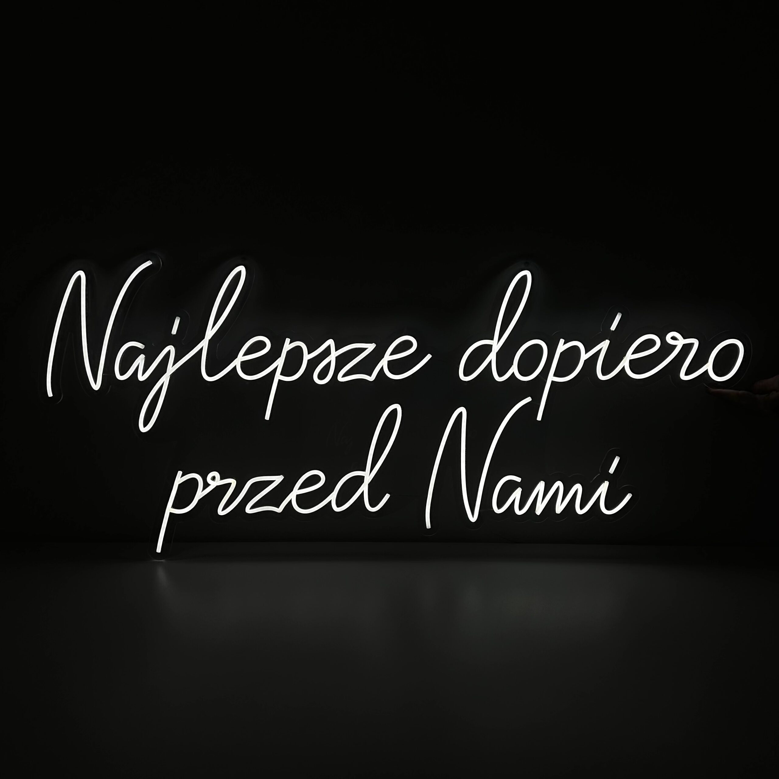 LED NEON na wynajem